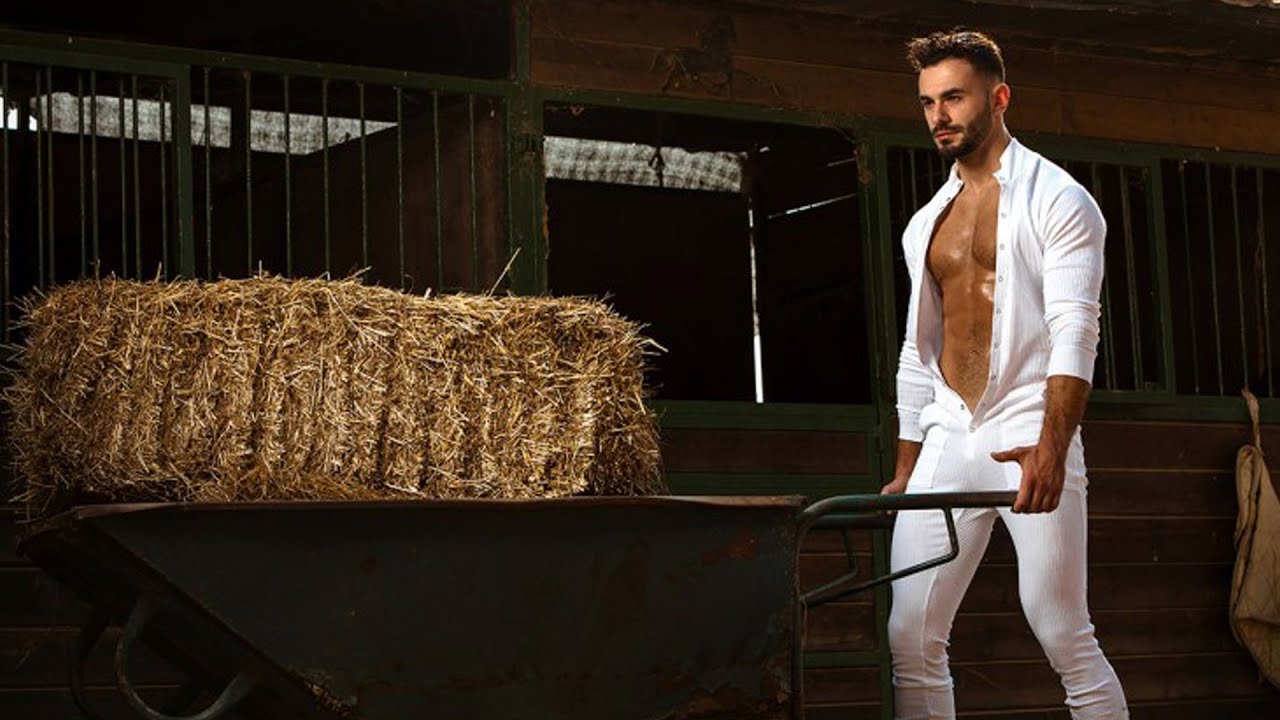 MODUS VIVENDI Tiger Line