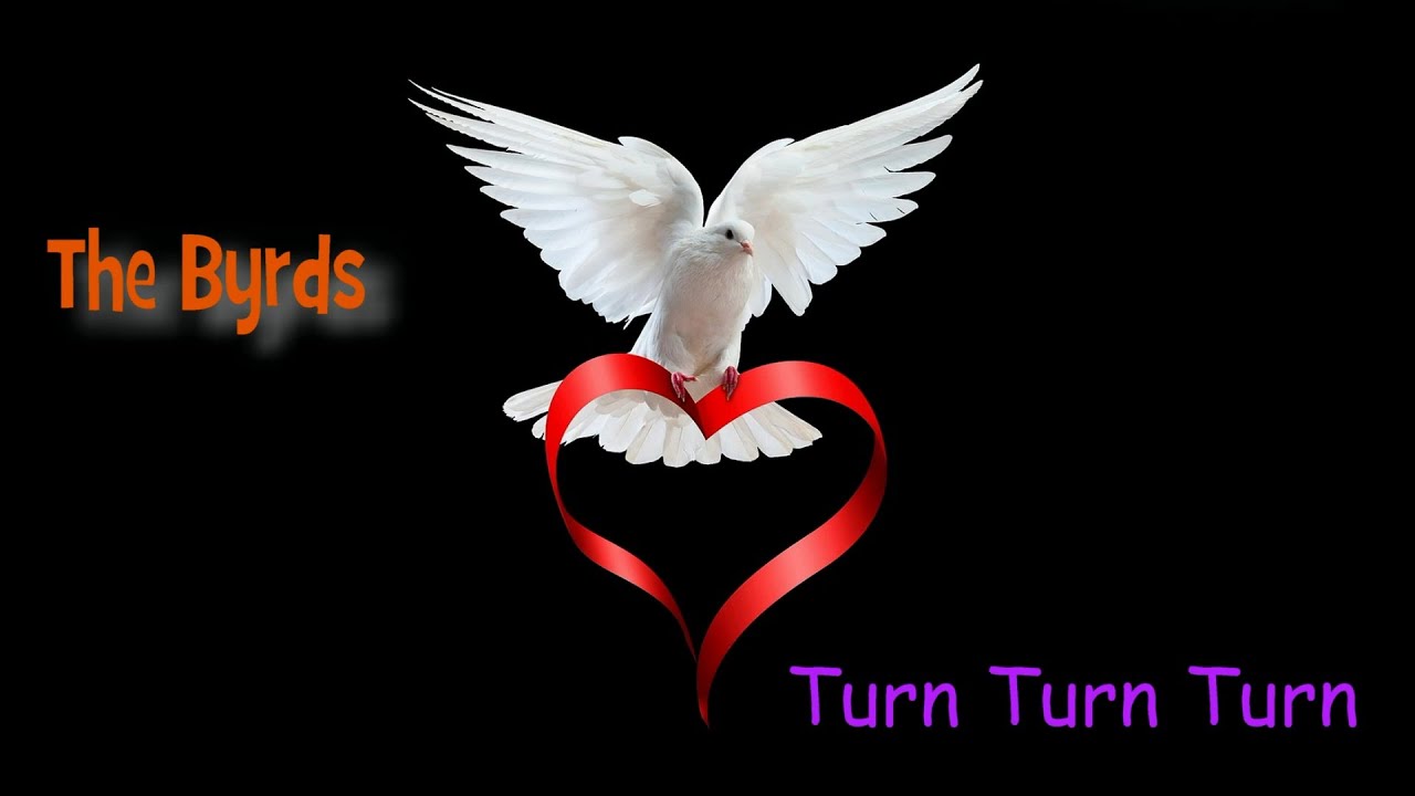 Turn Turn Turn The Byrds ( lyrics ) YouTube Music