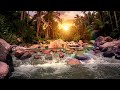 Flowing River Sounds | Deep Sleep Nature Ambience to Calm Your Mind and Body