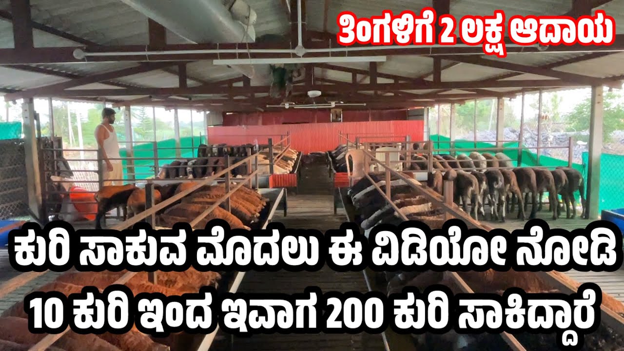 ಜೀರೋ ದಿಂದ ಹೀರೋ ಆದ ಕಬ್ಬೂರ್ ಹಣಮಂತ ಪಾಟೀಲ್ ( Sheep farming Business )