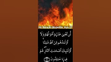 القرآن الكريم سورة المجادلة آية ١٦-١٧ ياسر الدوسري QuranMajeed