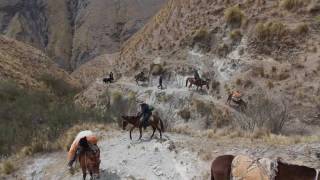 Escuela Nº4236 de Sala Esculla