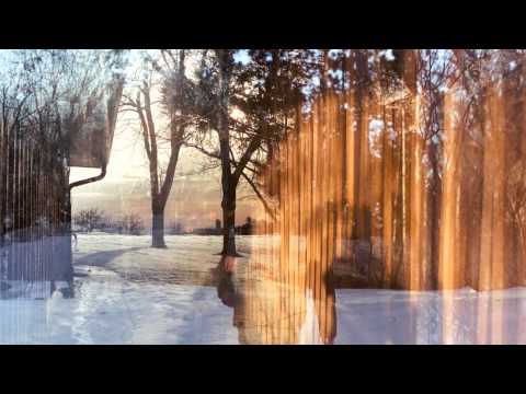 Dreamland Single