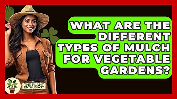 What Are The Different Types Of Mulch For Vegetable Gardens? - The Plant Enthusiast