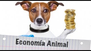 Economía Animal | Chris Meniw