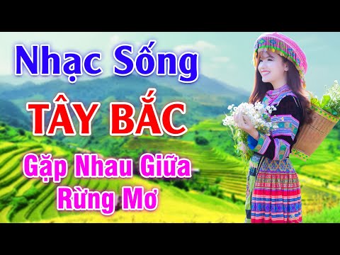 Video Gặp Nhau Giữa Rừng Mơ - LK Nhạc Sống Tây Bắc Có Lời -... - youtube