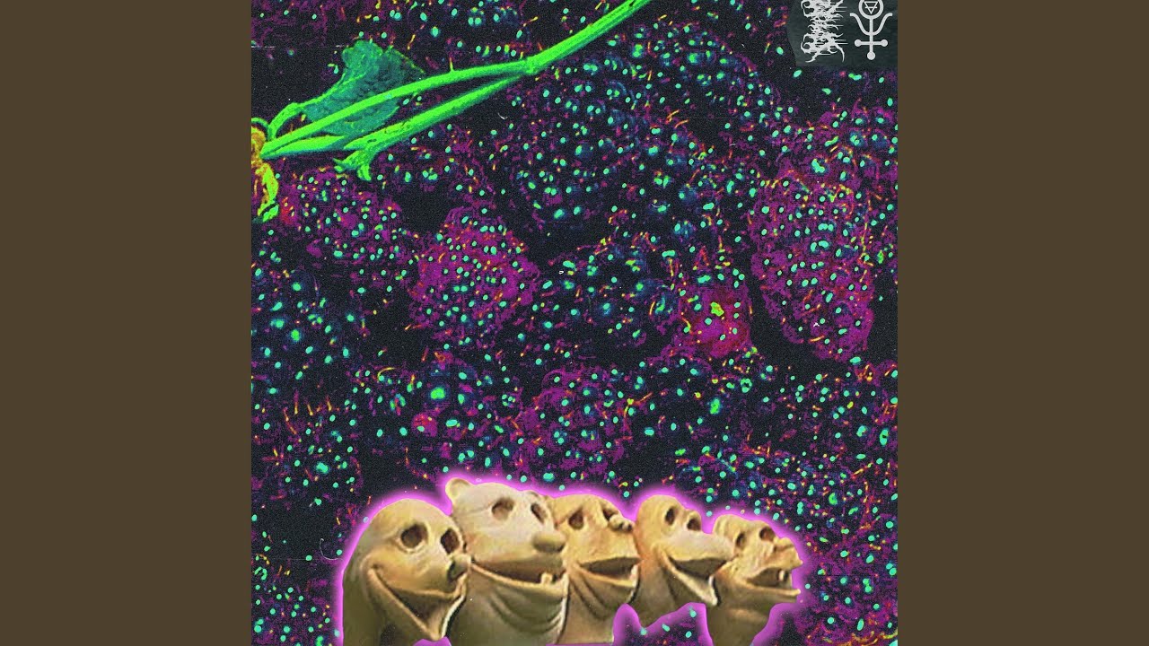 Boysenberry Sepsis YouTube
