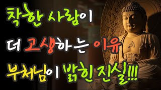 왜 우리는 같은 실수를 반복할까? 부처님이 밝힌 ‘업의 순환’과 고통의 패턴 | 불교 오디오북 | 지혜로운 사람 | 부처님의 말씀 | 석가모니의 명언