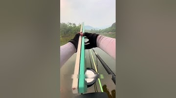 Câu cá hoang dã. Tập 29: Bắp tươi xả ổ săn cá khủng