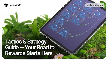 T&S Guide: Auto-Upgrade & Reactivation Strategy Explained | Meta Whale