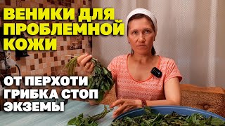 Трава Для Красивых Волос Очищения Кожи/Заготовка Сныти@Naturemarusya