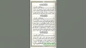 105.Surat Al-Feel (The Elephant) | Abdul Rahman Al-Sudais | عبد الرحمن السديس | سورة الفيل #quran