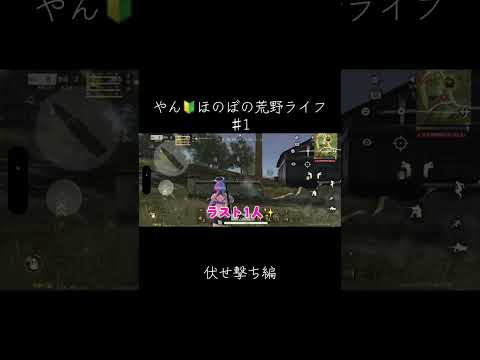 #荒野行動 #荒野女子 #えんじょい勢 #キルクリップ  #キル集 #knivesout#こうやこうど #うまくなりたい #わーるどゲーム配信
