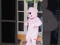 teddy 🧸 dance #teddy #vsmbindu #dance #writing