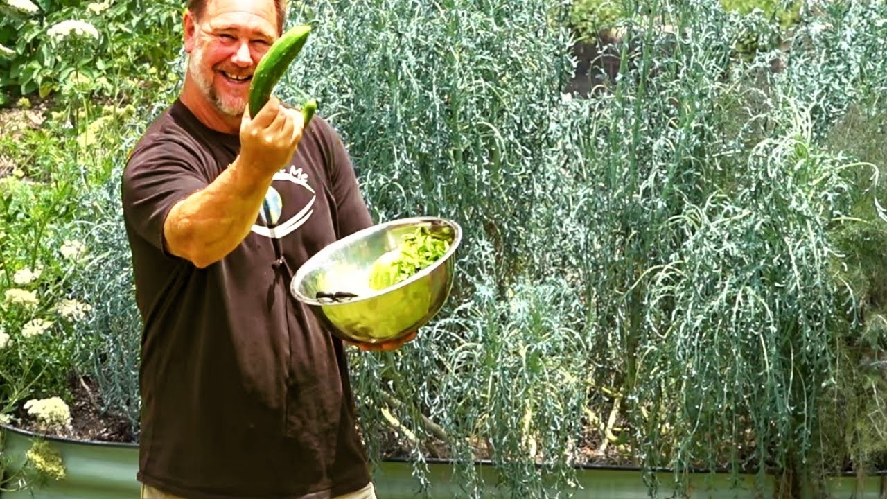 great-way-to-keep-your-veggies-fresh-longer-youtube