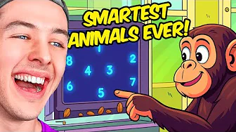 Animals Smarter than BeckBroJack!