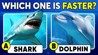 How Well Do You Know Animals? 🦈🐬🧠✅ General Knowledge Trivia Quiz