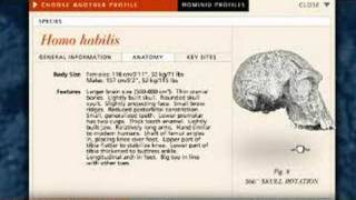 Evolution Becominghuman.org