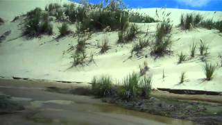 Video 64