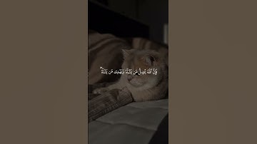 #القران_الكريم_راحه_نفسية😍🕋 #القران_الكريم #راحه_نفسيه #تلاوات #تلاوة_خاشعة #اذاعه_القرآن_الكريم #صل