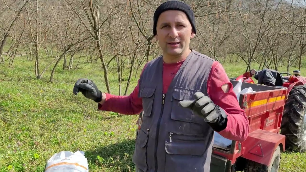 NEDEN BU GÜBREYİ SEÇTİM! - FINDIKTA ORGANOMİNERAL GÜBRE UYGULAMASI