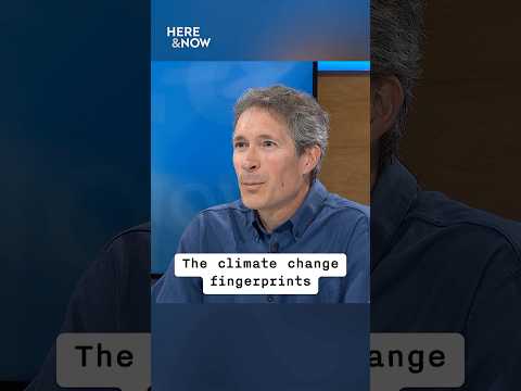 Climate Change And Misty Wet Conditions: A Growing Concern