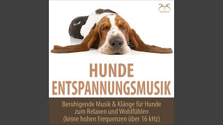 Entspannung für meinen Hund: Musik zum Relaxen in 432 Hz, keine hohen Frequenzen