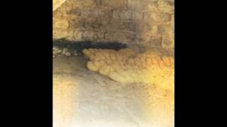 Making traditional  Cyprus bread in oven