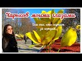 🏙️ ХАРЬКОВ МОИМИ ГЛАЗАМИ ~ДЛЯ ТЕХ, КТО СКУЧАЕТ ЗА ГОРОДОМ ~ САД ШЕВЧЕНКО 