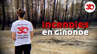 GIRONDE WILDFIRES: Animals rescued from the flames are evacuated