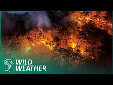 2 HOURS OF EXTREME WEATHER DESTRUCTION