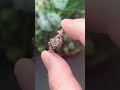 Round Moissanite Engagement Ring Set Rose Gold Nature-Inspired Leaf Design | Anniversary Gift