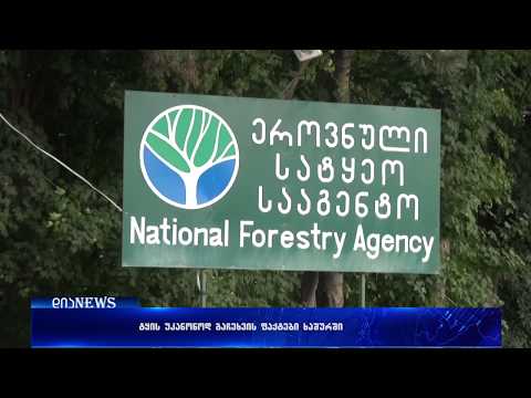 იჩეხება თუ არა ტყე  უკანონოდ ხაშურის მუნიციპალიტეტში 25.06.2018