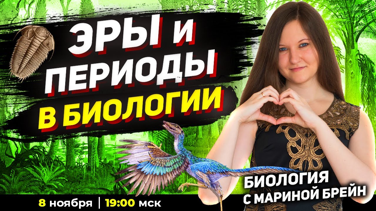 ЭРЫ И ПЕРИОДЫ В ЕГЭ ПО БИОЛОГИИ 2023 | ГЕОХРОНОЛОГИЧЕСКАЯ ТАБЛИЦА - YouTube