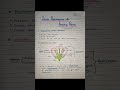 Class-12 Biology Sexual Reproduction In Flowering Plants #sexualreproductioninfloweringplants #cbse