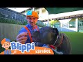 Blippi visita un Refugio de Animales | Aprende con Blippi | Videos de animales para niños