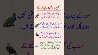 4 Bird Facts That Feel Illegal To Know