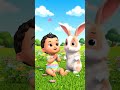 Hop Along With Our Cute Bunny Friend! 🐰✨ #shorts #kidsanimation #viral