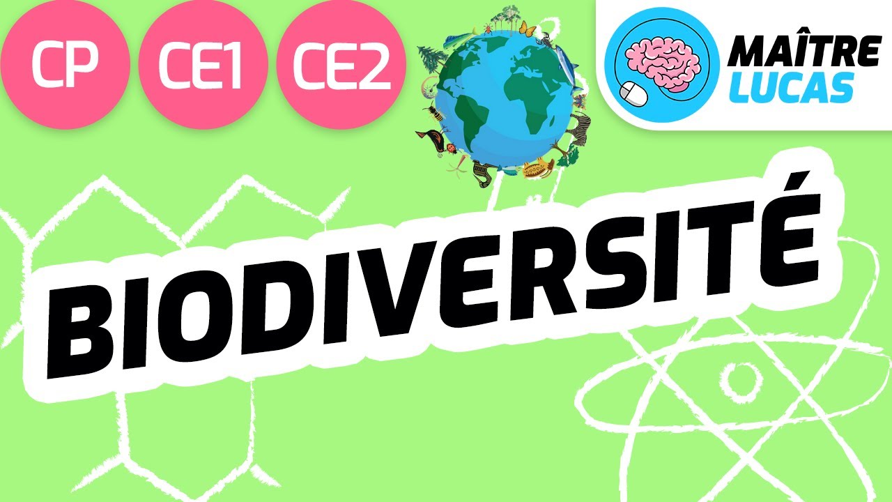 La biodiversité CE2 - CE1 - CP - Cycle 2 - Questionner le monde - Le monde du vivant