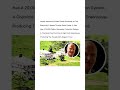 Woody Harrelson'S Maui Estate Produces All The