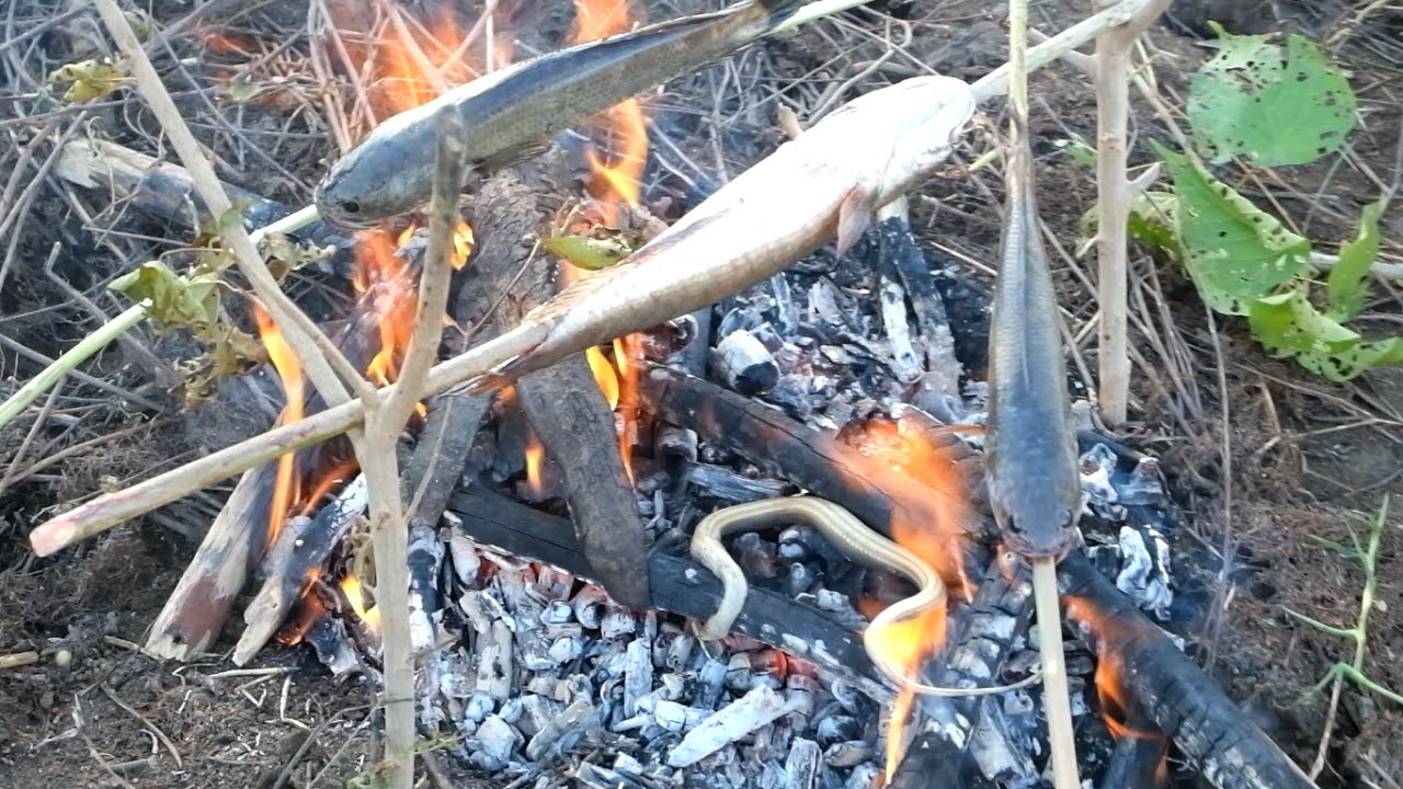 primitive cooking utensils How to cook fishes in the farm - Easy to cook fishes