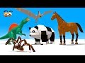 VIDS for KIDS in 3d (HD) - Learn Various Animals in English - AApV