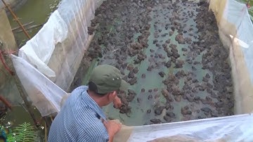 Tin Tức 24h mới nhất: Xây dựng nông thôn mới đi vào thực chất