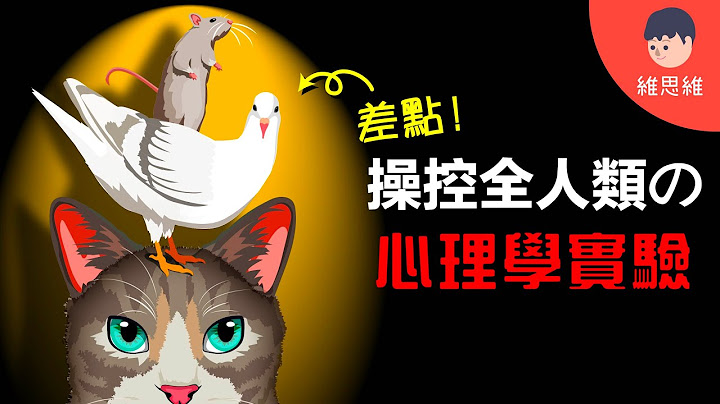 【爭議的心理學實驗】 操作制約！人類行為學習的方程式？ | 維思維 - 天天要聞