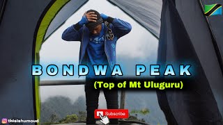 Explore the Uluguru Mountains Morogoro Tanzania Bahati Camp, Choma Waterfalls, Morning Side \& Bondwa