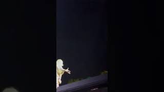 Billie Eilish - Happier Than Ever Live Governors Ball Festival