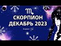 ♏СКОРПИОН - ДЕКАБРЬ 2023 - ОКАПЫВАЕМСЯ. Астролог Olga