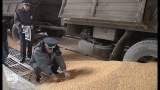 Махачкалинский порт готов увеличить перевалку грузов в Иран Махачкалинский порт готов увеличить перевалку грузов в Иран