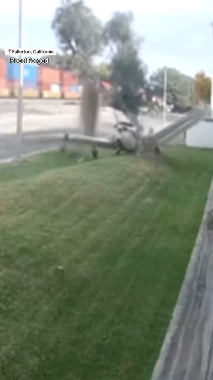 Small plane hits fire hydrant, crashes into tree in California #shorts