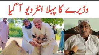 Camel Leg Cut Cemal Wadera Firstinterview Husnainkamboh33